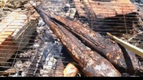 CÁ LÓC NƯỚNG KIỂU MIỀN TÂY NHÌN THẤY LÀ ĐÃ NGHIỀN 