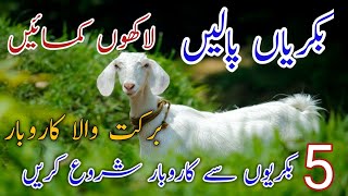 Bakri Farming Business in Pakistan || Goat Farming || Small Business ll ideal society tv