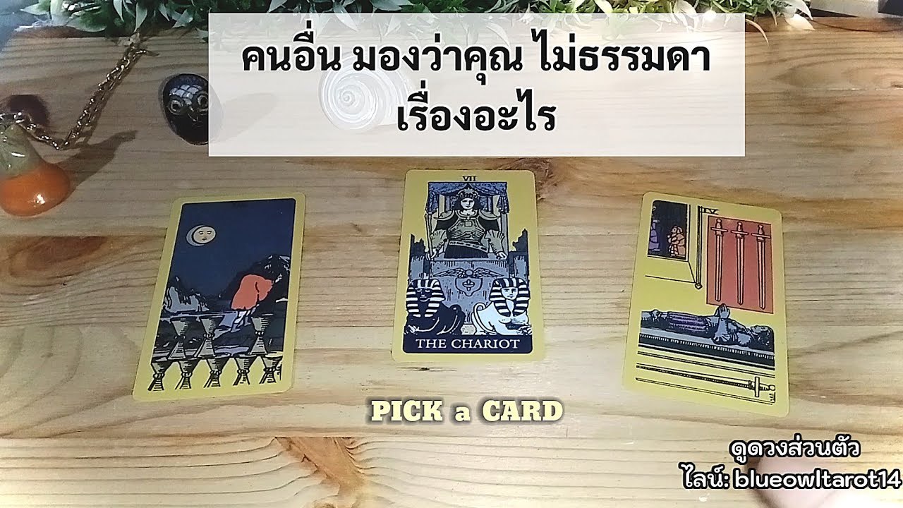 🦉PICK A CARD🔮: คนอื่นมองว่าคุณ ไม่ธรรมดาเรื่องอะไร🤔 | Timeless