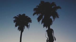 Jay Sound  - The Calm Life Of Palm Trees (Official Video) screenshot 3