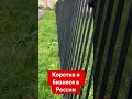 Коротко о бизнесе в России