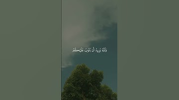 #تلاوة_خاشعة #اكسبلور #القزابري #duet #الرحمن #قرآن #دويتو #المصحف #لايك #الطحان
