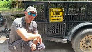 WE GOT OUR FIRST ALLIGATOR! Sanctuary name reveal!