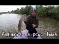 Рыбалка на реке Томь / ловля щуки на жерлицы