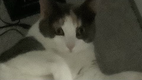 War robots skirmish hacker