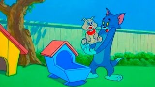 ... tom and jerry - hic-cup pup episode 82 cartoon ► iukeitv™
sub...