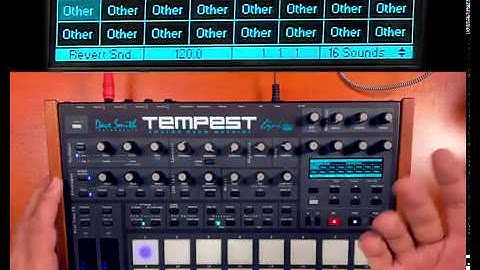 Tempest - Add Variation By Randomizing The Decay Curves and Pulse Width of Hi Hats