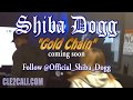 Shiba dogg recording gold chain presented by og media