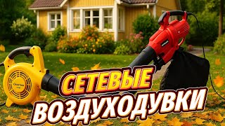 видео: ЛУЧШИЕ сетевые воздуходувки и садовые пылесосы 2025🍂ТОП-5 моделей для уборки листвы. Рейтинг! СОВЕТЫ картинка: ЛУЧШИЕ сетевые воздуходувки и садовые пылесосы 2025🍂ТОП-5 моделей для уборки листвы. Рейтинг! СОВЕТЫ