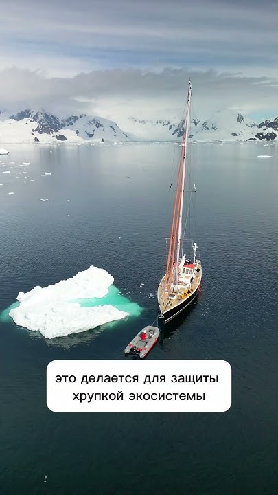 О чем я не знал до того, как отправился в Антарктиду? #путешествие # ...
