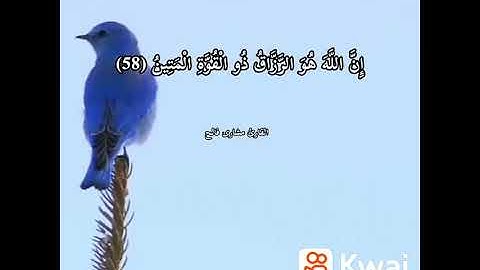 وما خلقت الجن والانس تلاوه جميله للقارئ مشاري فالح