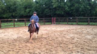 Hugo Flatwork