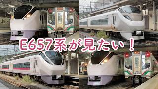 【仙台駅】とにかく常磐線特急ひたち E657系が見たい！という方のための動画 Part2 The Limited Express Series E657 at Sendai Station