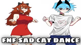 sad cat dance meme fnf｜TikTok Search