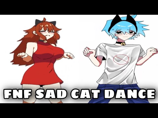 FNF SAD CAT DANCE 