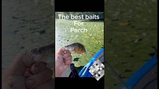 The best baits to catch perch on #perch #fishing #tutorial #blowthisaccountup #fish #bestbaits #grow