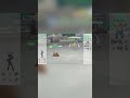 Legends Arceus Was Right