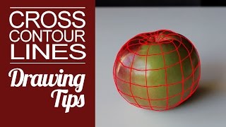 Cross Contour Lines - Improve Your Drawing and Painting