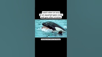 Disturbing video of Orca attacking trainer