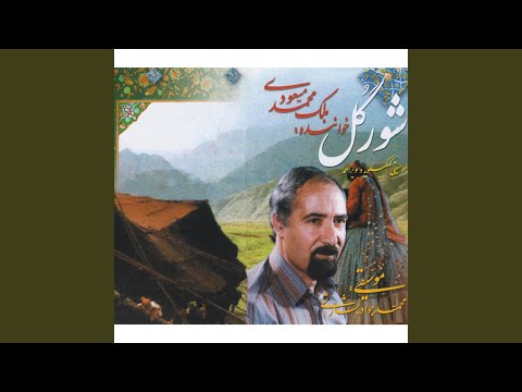 کمانچه سولو