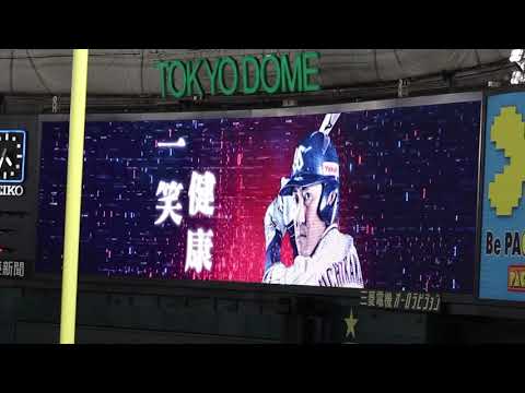 2021年  ヤクルト  内川聖一  登場曲  【東京ドーム】