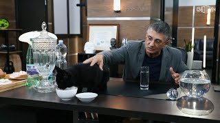 видео: Доктор Мясников. Ультрапереработанная пища, вся правда о воде, витамин D // Эфир от 29.06.2024 картинка: Доктор Мясников. Ультрапереработанная пища, вся правда о воде, витамин D // Эфир от 29.06.2024