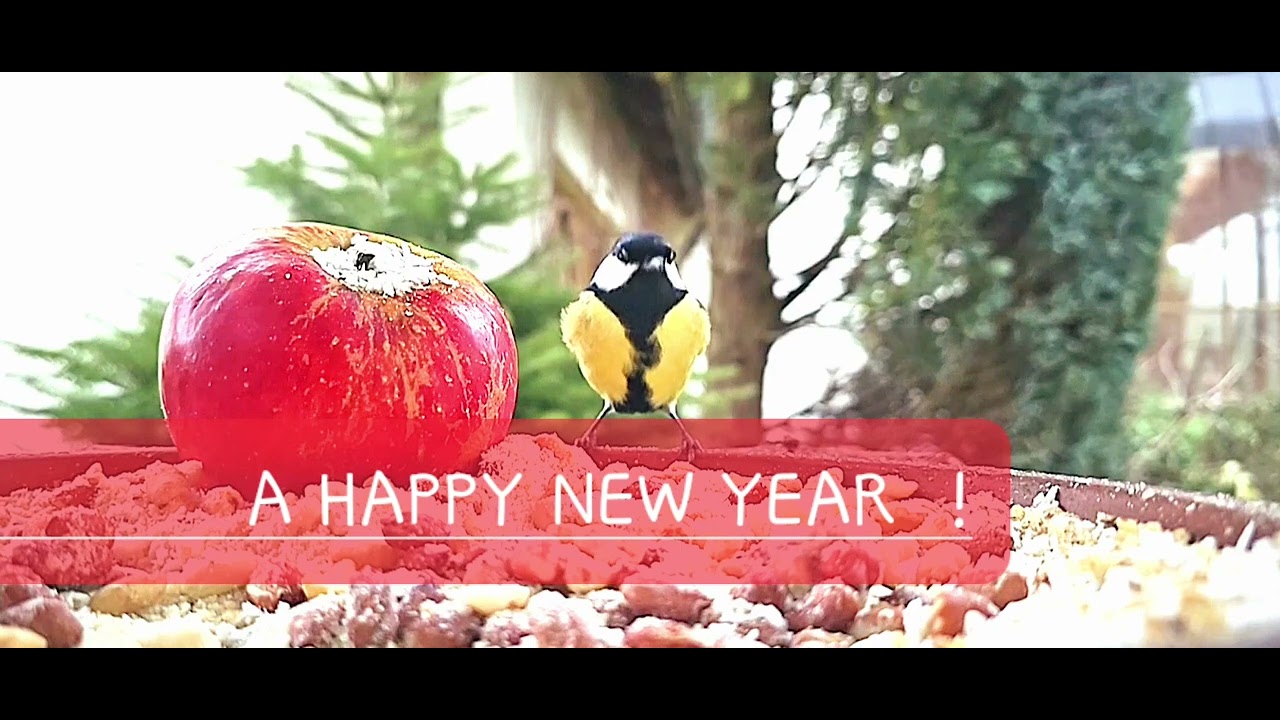 A HAPPY NEW YEAR ! - YouTube