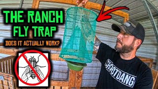 The Ranch Fly Trap - Does It Actually Work?