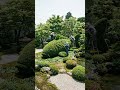 Building a Giant Koi Fish Topiary #architecture #timelapsebuild #timelapse #offgridliving #asphalt