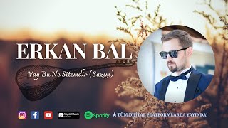 Erkan BAL - Vay Bu Ne Sitemdir (Sazım) © 2021 erkanbalmüzik Resimi