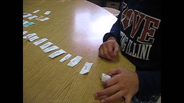 How To Do a Spelling Word Sort
