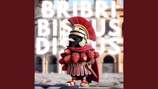 BRIBRI BISCUS DISCUS