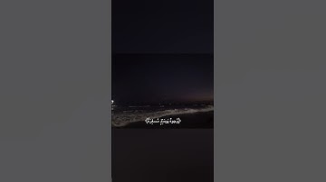 القارئ ياسر سلامة .