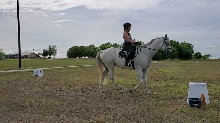 Cindy Foss Royal Agreement Training Level Test 3