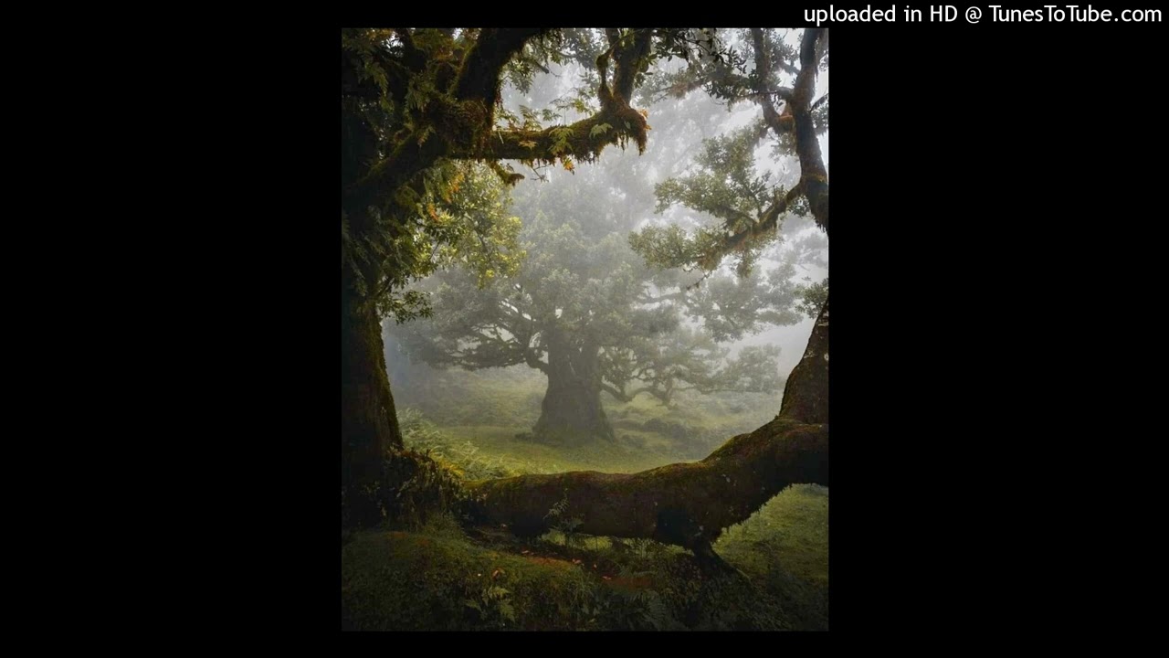 lil tony x hariroc x duvy x ggopp type beat @ggopp0