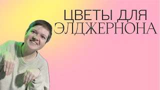 видео: ЦВЕТЫ ДЛЯ ДЭНИЕЛА КИЗА | ДОКОПАТЬСЯ ДО МЫШЕЙ | ПОПОЛИТ картинка: ЦВЕТЫ ДЛЯ ДЭНИЕЛА КИЗА | ДОКОПАТЬСЯ ДО МЫШЕЙ | ПОПОЛИТ