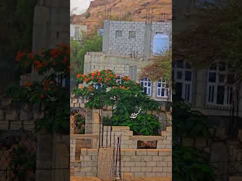 أجواء مديرية ج ب ن حارة السحير بعدستي جمال التفاصيل وروح المكان تصويري محسن عامر ابلور