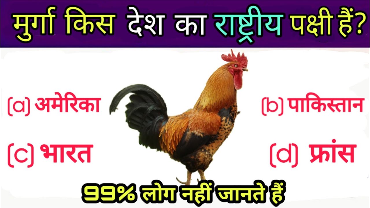Murga Kis Desh Ka Rashtriya Pakshi Hai Interesting Gk General