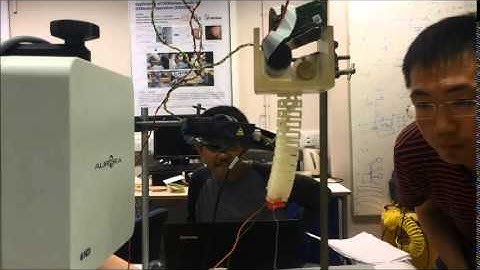 Fuzzy Tracking Control of Continuum Manipulator