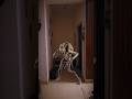 Cat gone Missing Horror 😳💀 | #shorts #scary #creepy #horror #plottwist