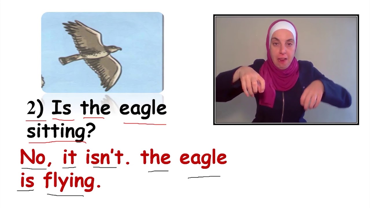 English | Unit 11 – Read, ask and answer (Pupil’s book) & Look and ...