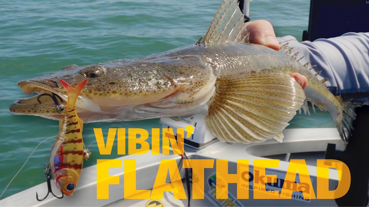 How to Catch Flathead on Soft Vibes - Fishing the TT Quake Power Vibe 