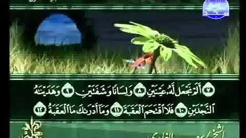سورة البلد للشيخ سعد الغامدي  Surat Al-Balad For Al-Ghamdi