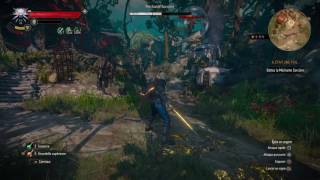 The Witcher 3 : Blood & Wine - Bug Méchante Sorcière screenshot 4
