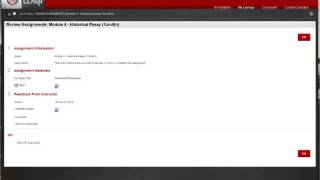 How to View Feedback in Turnitin