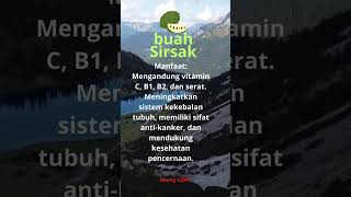 Manfaat Sirsak dangdut dangdutkoplo  koplo musik katakatabijak motivasi fruit shorts