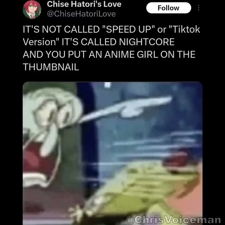 IT'S NOT CALLED 'SPEED UP' OR 'Tiktok Version' IT'S CALLED NIGHTCORE  meme