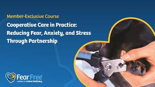 Cooperative Care in Practice: Reducing Fear, Anxiety, and Stress Through Partnership
