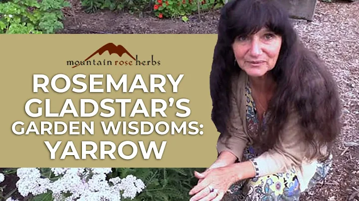 Rosemary Gladstar's Garden Wisdoms: Yarrow