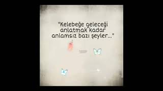 Kelebek Misali 🦋